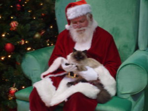 Caico with Santa 2014