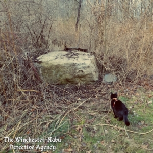 Gus at the boulder