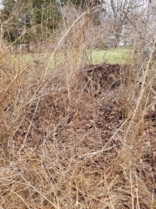 clearing boulder