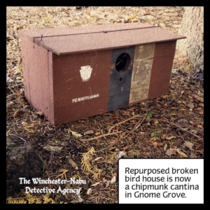 old birdhouse on the ground