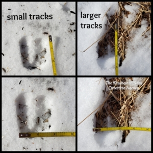 collage of tracks