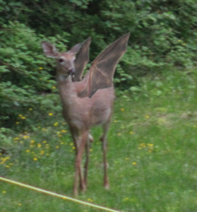 Jersey devil-deer