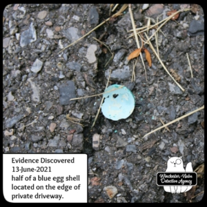 blue egg shell on ground