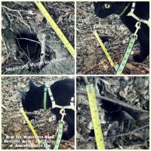 collage of 4 images of Gus helping measure the holes.