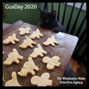 Gus with one paw on the baking sheet studying the undecorated cookies