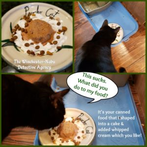 collage of Gus not eating the fancy wet food "cake" shape Amber made for him. "This sucks. What did you do to my food?"