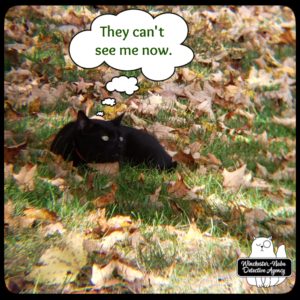 Gus in the leaves