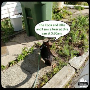 Gus investigating garbage