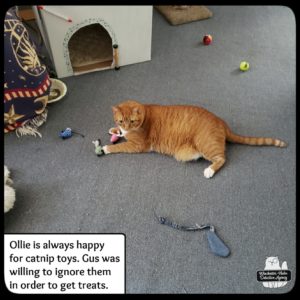 Ollie with toys