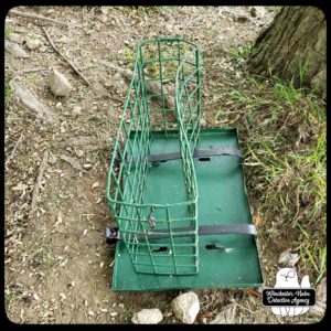 broken bird feeder on the ground