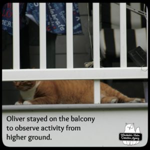 Oliver