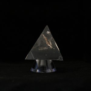 things found in owl pellet preserved in resin pyramid