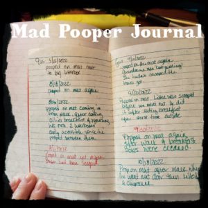 small journal of poop accident notes with dates