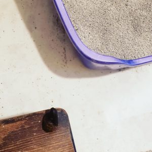 cat poop on top of a small footstool's corner inches away from the litterbox