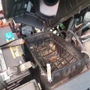 inside the car's air filter compartment