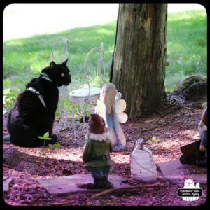 black cat Gus next to garden gnomes and fairies