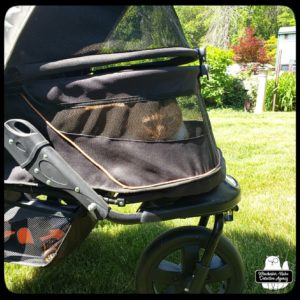 Oliver lying down in his buggy outside in the grass and sunshine