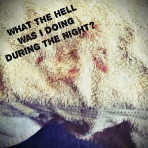 bloody towel with text: what the hell was I doing during the night?