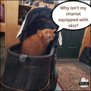 Oliver in his stroller wanting to go outside but it was still too snowy.