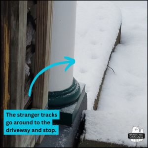 domestic cat tracks in snow leading away from back porch onto the curb