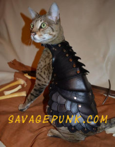 tabby cat in leather medieval armor by Savage Punk Studio