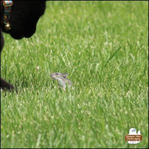 close up of Gus and Mice "Mike" Murdock facing off