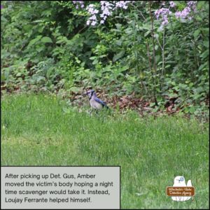 blue jay, Loujay Ferrante, standing next to the body of chipmunk, Benny Squint who is obscured by the grass.