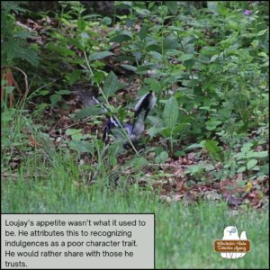 blue jay Loujay on top of the chipmunk's body (Benny Squint). He's actively fluttering as he takes bites of the chipmunk.