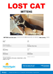 Lost Cat poster with Mittens photo and details (some blurred) from HomeAgain microchip company