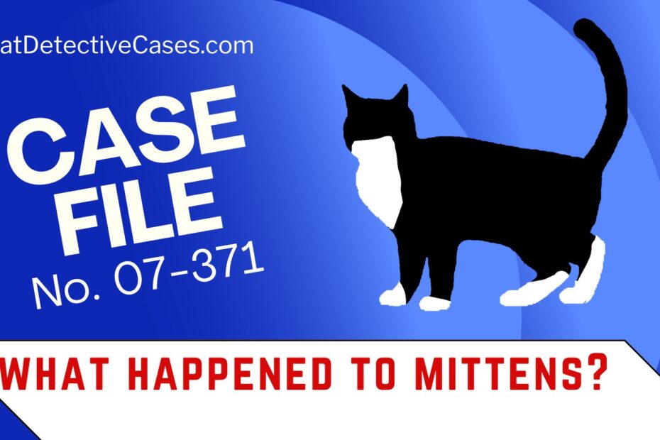 blue background; CASE FILE number 07-371, what happened to Mittens?" with a minimalist illustration of a tuxedo cat