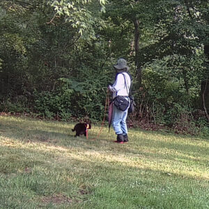 black cat Gus and Amber outside on patrol; photo from trail camera