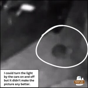 Security Camera image (black and white and blurry) of the strange Tabby Cat; "I could turn the light by the cars on and off but it didn't make the picture any better."