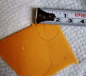 close up of a cheese slice with digital highlights to show the teeth impressions better next to a measuring tape;