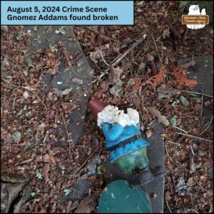 garden gnome with blue shirt, green pants, red conical hat, holding a bluebird; Gnomez Addams lying on his side on the ground now with broken hat; "August 5, 2024 Crime Scene, Gnomez Addams found broken."