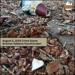 garden gnome with blue shirt, green pants, red conical hat, holding a bluebird; Gnomez Addams toppled off a piece of slate onto the ground; "August 5, 2024 Crime Scene, Gnomez Addams found broken."