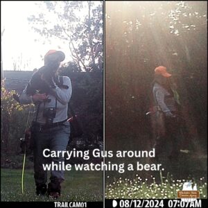 2 images from a trail camera showing Amber carrying Gus to safety while watching the bear in the yard.