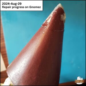 close up of the left side of the tip of the gnome's conical hat during repairs showing cracks, super glue, and missing paint.