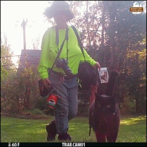 caught on trailcam in the daylight, black cat Gus walking in the grass right towards the camera as biographer Amber follows behind him holding her camera, camera bag, evidence baggies, cell phone, and pink parasol.