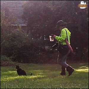 caught on trailcam in the daylight, black cat Gus sitting in the grass as biographer Amber walks up behind him holding her camera, camera bag, evidence baggies, cell phone, and pink parasol.