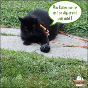 outside, black cat Gus is lying next to the cowbird he caught; he has his left paw tapping the bird's butt; the cowbird looks fine and uninjured despite losing some feathers. Gus saying, "You know, we're not so different you and I."