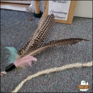 cat feather wand toy close up on carpeted floor