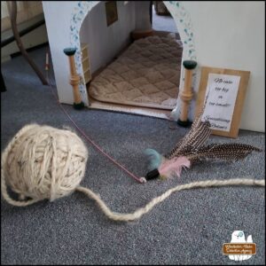 cat feather wand toy next to a big ball of yarn at the front of the detective agency cardboard office with columns and sign reading, "No case too big or too small. Specializing in rodents."