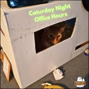 orange and white tabby Ollie inside his cardboard office for Caturday night office hours. He's looking out one of the windows.