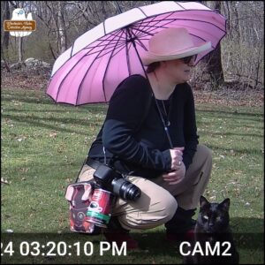 trailcam footage of black cat Gus and human Amber on patrol/adventure on a sunny afternoon.