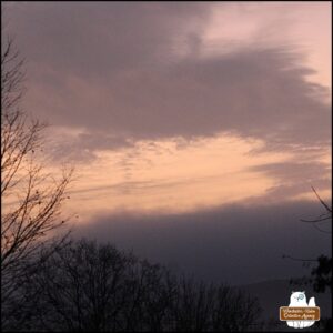 sunrise in NJ, black bare trees silhouetted against a pink sky with mauve clouds and hills