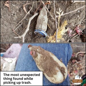 top: a plastic mouse shaped toy caked in dirt upside-down in the dirt on the embankment of the road.. bottom: the mouse toy upright on Amber's thigh with jeans. caption: The most unexpected thing found while picking up trash.