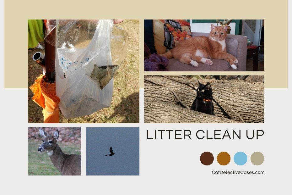 collage: a bag of trash from our litter clean up; orange and white cat Oliver on the couch; black cat Gus in between logs; a deer; a bat; text: Litter Clean Up; 4 dots of our color palette; CatDetectiveCases.com