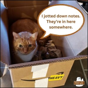 orange and white cat Oliver in a cardboard box with some crumbled packing paper. He's looking up at the camera. "I jotted down notes. They're in here somewhere."