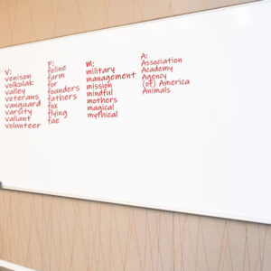 Brainstorming on the white board for Case File No. 28-392. Letters V, F, M, and now A: association, academy, agency, (of) America, animals (as if written in red marker in a column)