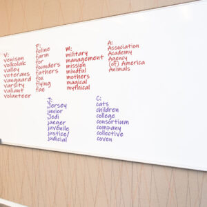 Brainstorming on the white board for Case File No. 28-392. Letters V, F, M, and A in red in the top row making columns. Next to J is C: cats, children, college, consortium, company, collective, coven (as if written in purple marker in a column under the M and A columns in the first row)